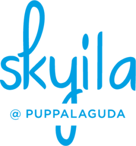 skyila-logo EIPL, Lapaloma, villas, flats, aplia, rivera, flora, RiverEdgevillas, skyila, floatilla, EIPL Group, Mokila, Gandipet, 3bhk villas, 2bhk villas, 2bhk flats, 3bhk flats, Manchirevula, On-going projects, completed projects, Project Updates, Manikonda