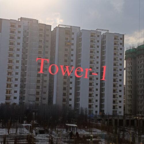 T-1