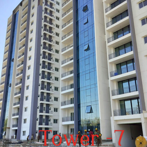 t-7