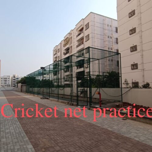 cricket