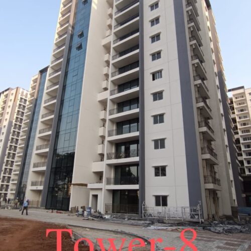 t8